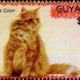 guyana6619