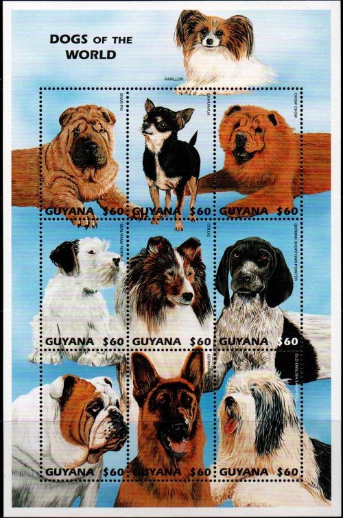 img20180512 15585993