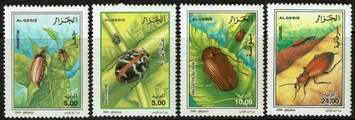 Algeria-1194-97-2000-Insects.jpg