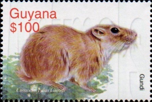 guyana6425