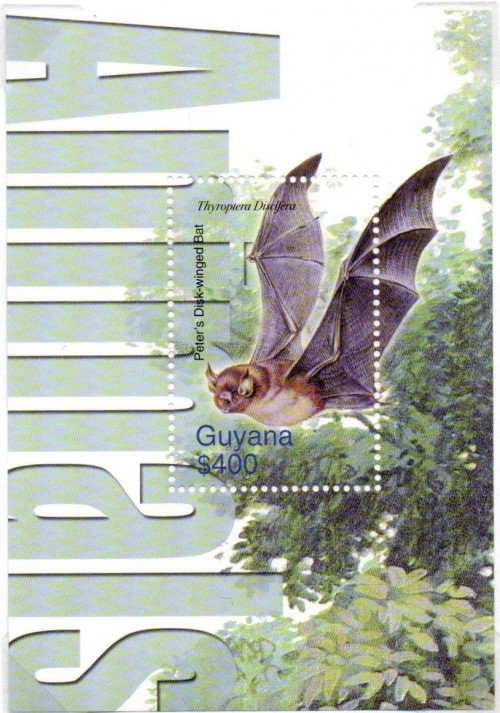 guyana6428