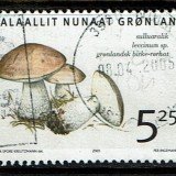 Greenland-446