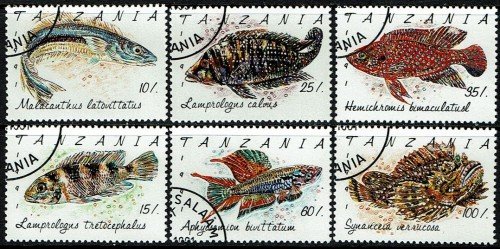 Tanzania-Fish.jpg
