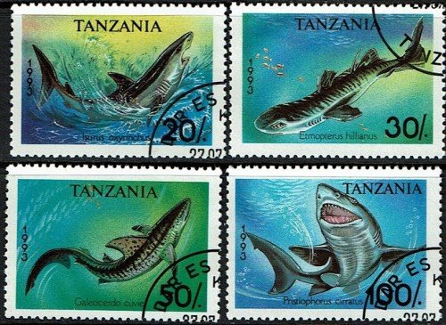 Tanzania-Sharks.jpg