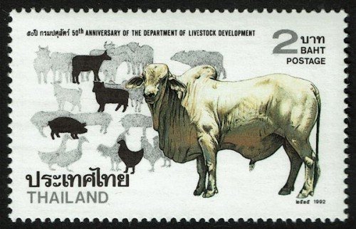 Livestock Development