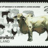 Thailand-Scott-1468-1992-Livestock-Development