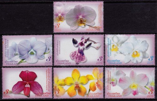 Orchids