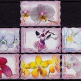 Thailand-Scott-2422-28-2008-Orchids