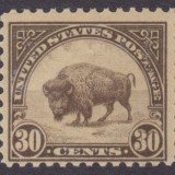 doublebison