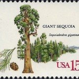 USA-Scott-Nr-1764-1978