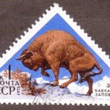 Russia-Stamp-4093u