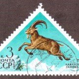 Russia-Stamp-4094u