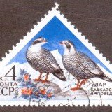 Russia-Stamp-4095u