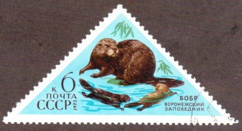 Russia Stamp 4096u