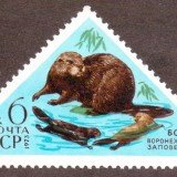 Russia-Stamp-4096u