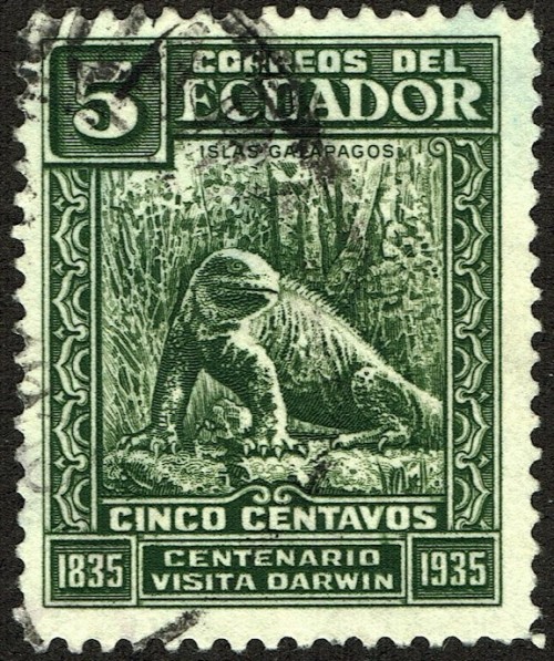Ecuador-Scott-Nr-341-1936.jpg