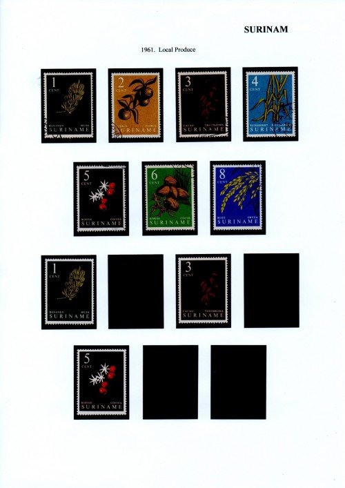 surinam 10