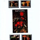Guyana-B17