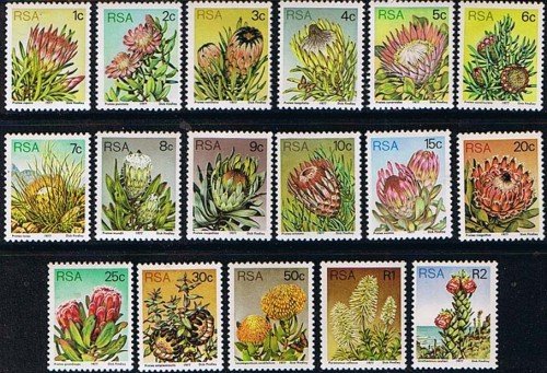 south-africa-1977-proteas-and-succulents-set-fine-mint-9222-p.jpg