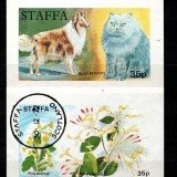 staffa-trade-2