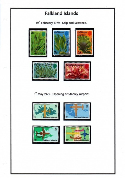 falklands-22.jpg