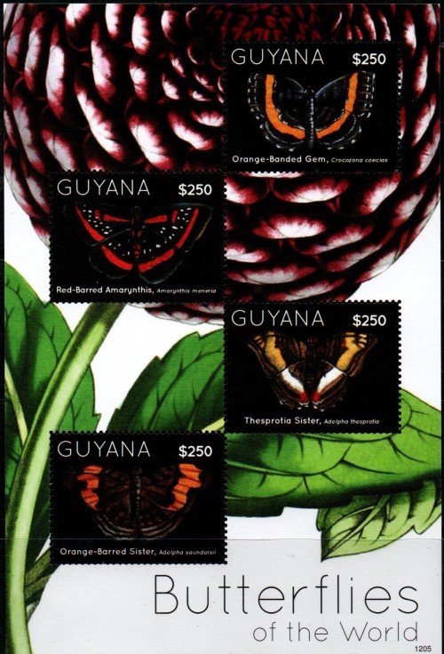 guy-4100.jpg