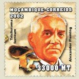 Mozambique-2002-Alexander-Fleming-true