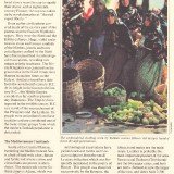 UFUN-brn-v1-Turkey-p5-50p