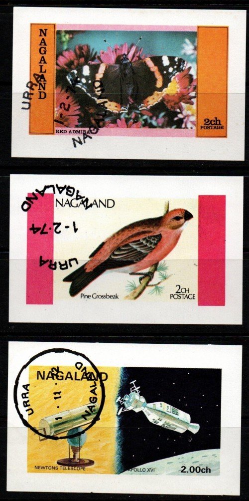 img20200320 15404940