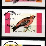 img20200320_15404940