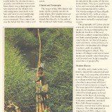 UFUN-brn-v1-Fiji-p3-40p