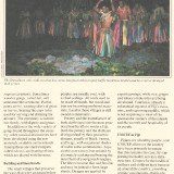 UFUN-brn-v1-Fiji-p6-50p