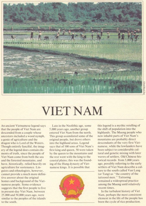 UFUN-brn-v1-Vietnam-p2-50p.jpg