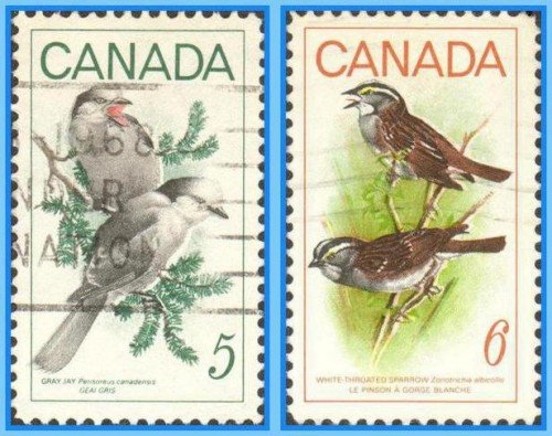 canada-birds1.jpg