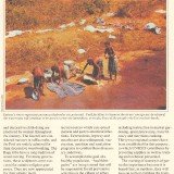 UFUN-brn-v1-Guinea-p6-40p