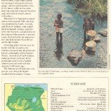 UFUN-brn-v1-Suriname-p3-50p