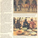 UFUN-brn-v1-Mali-p4-40p