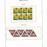 JP-5-Bike-Post--37-Hawaii