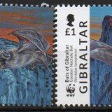 Bats