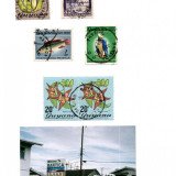 guyana-bartica
