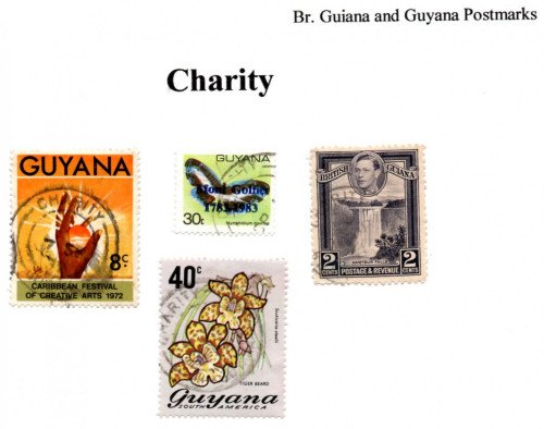 guyana-charity.jpg