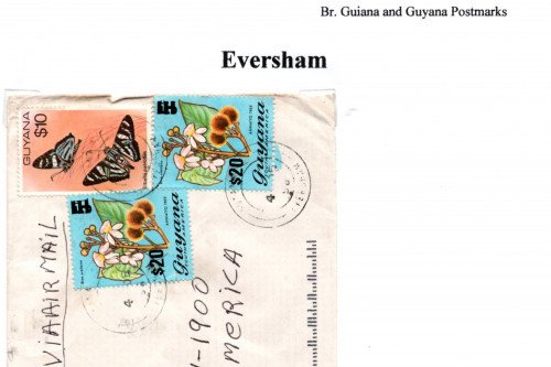 guyana-eversham.jpg