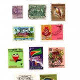 guyana-mackenzie