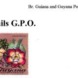 guyana-mails-g.p.o.