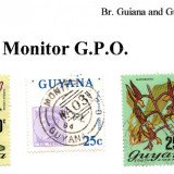 guyana-monitor-g.p.o