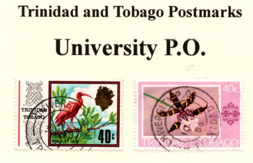 t-ana-t-university-p.o..jpg