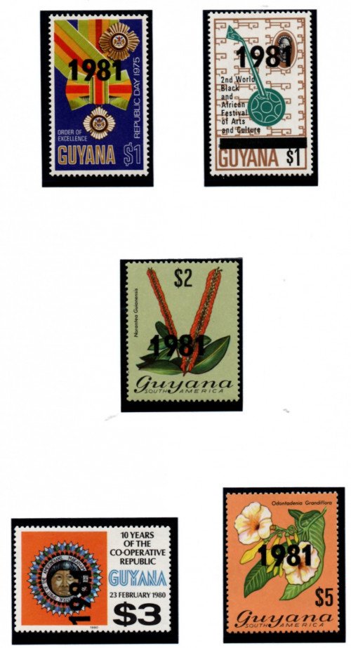 guy-127.jpg