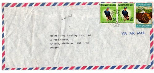 guy-covers-18.jpg