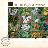 guy-covers-121