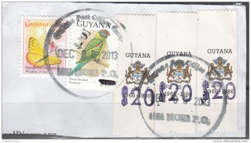 20-dollar-guyana-2.jpg